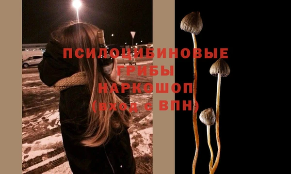 ПСИЛОЦИБИНОВЫЕ ГРИБЫ Киреевск