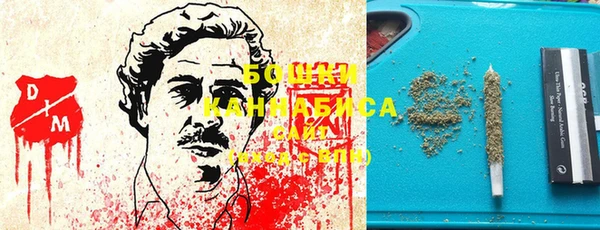 ПСИЛОЦИБИНОВЫЕ ГРИБЫ Киреевск