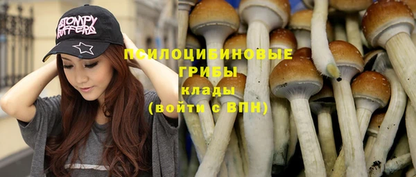 ПСИЛОЦИБИНОВЫЕ ГРИБЫ Киреевск