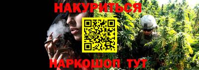 бошки Дубна