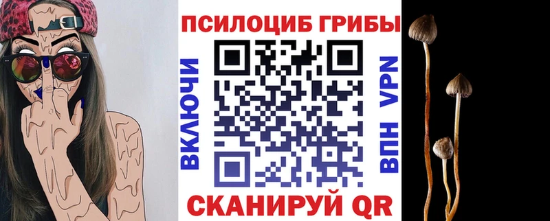 МЕГА маркетплейс  Корсаков  Псилоцибиновые грибы GOLDEN TEACHER  наркошоп 
